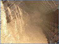 Rice Sorter