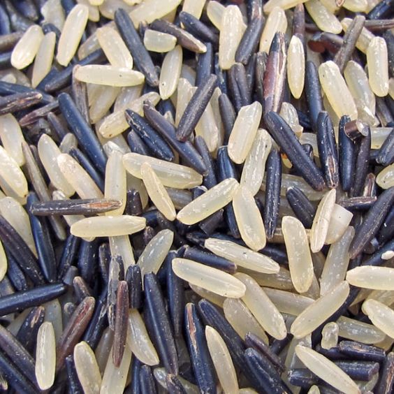 Chef's Top Blend