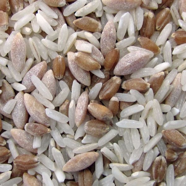 Special Basmati Blend