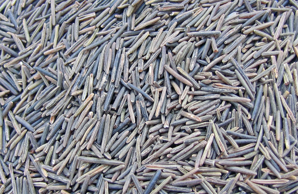 Select Dry Roasted Wild Rice