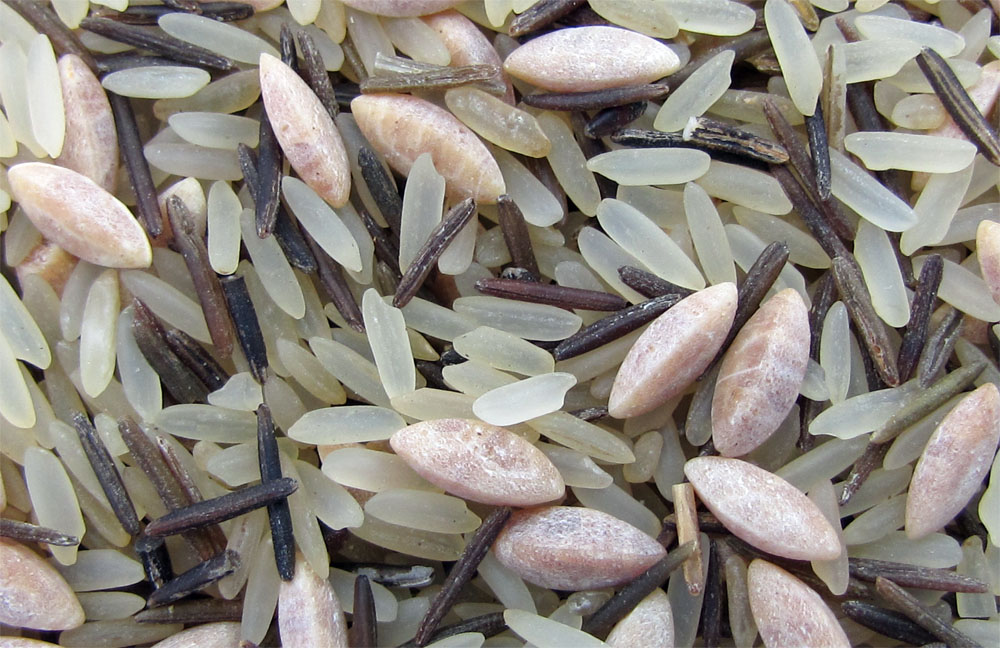 Pasta Rice Blend