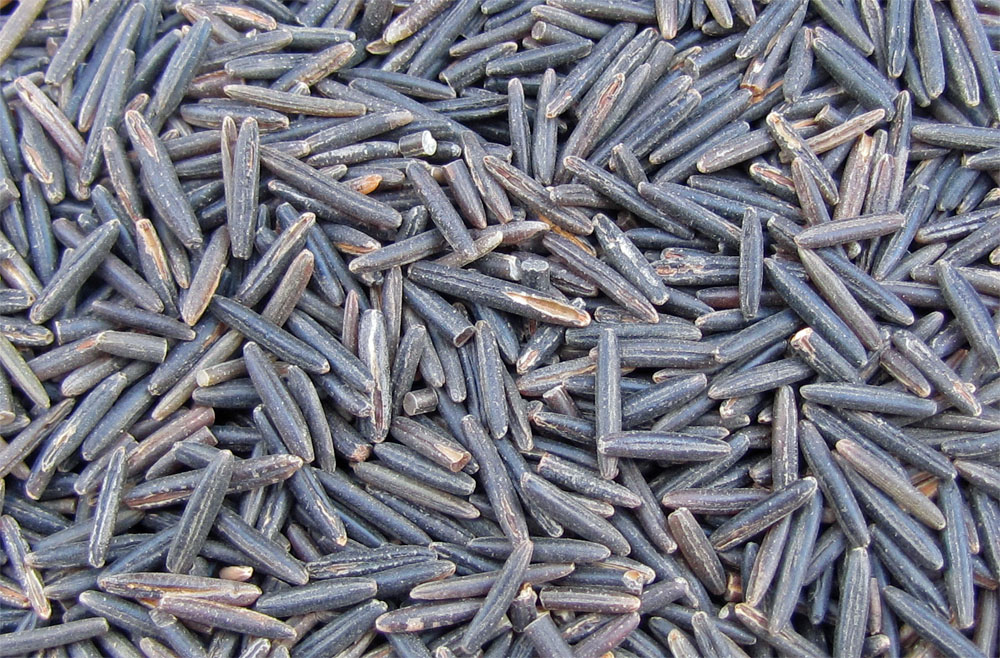 Premium Dry Roasted Wild Rice