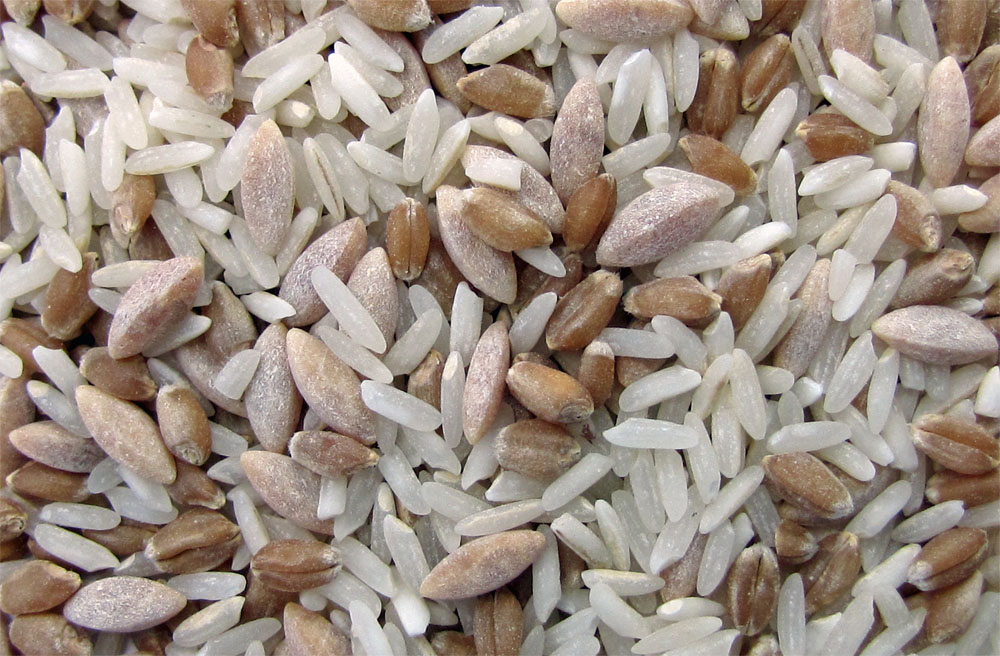 Special Basmati Blend