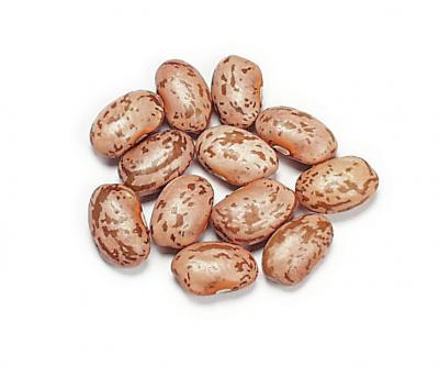 Pinto Beans
