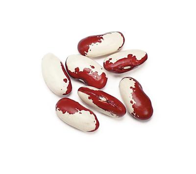 Jacobs Cattle Trout Beans