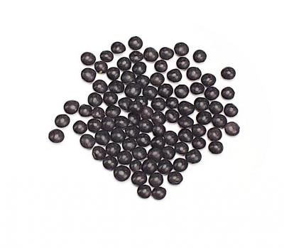 Black Beluga Lentils