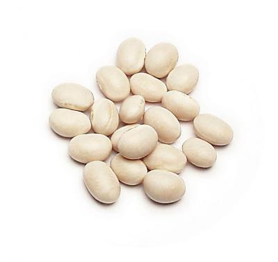 Great Northern Beans
