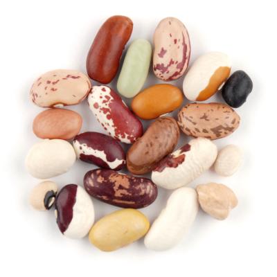 Anasazi, European Soldier, Flageolet, Cannellini, Rattlesnake Beans, Swedish Brown, Calypso Red, Light Red Kidney, Tongues of Fire, Black Turtle, Cranberry, Pinto, Garbanzo, Jacobs Cattle Trout, French Navy, Blackeye Peas, Yellow Eye Stueben, Great Northe