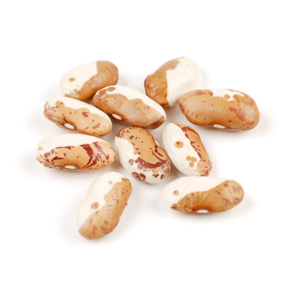 Snow Cap Beans