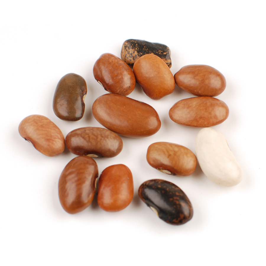 Pebble Beans