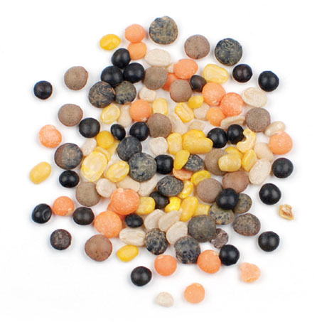 Mulit-Colored Lentils