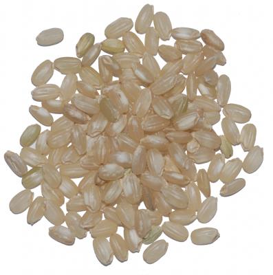 Brown Sticky Rice