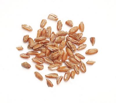 Coarse Bulgur Wheat
