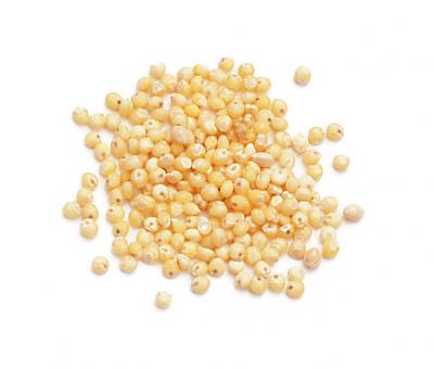 Millet Seed