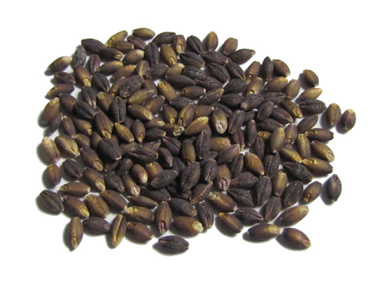 Purple Barley, Black Barley, Barley Soup, Farm to Table