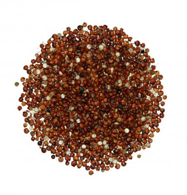 Red Quinoa