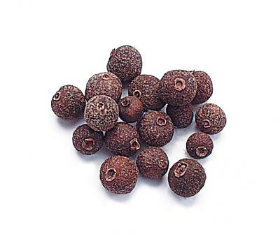 Jamaican Allspice Newberry Jamaica pepper or Myrtle pepper