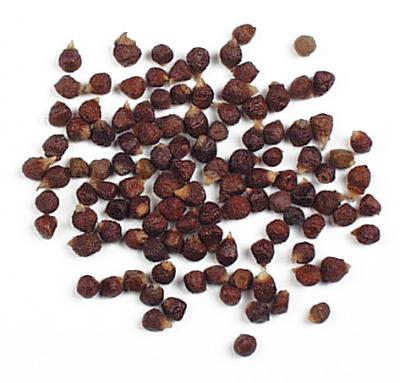 Grains of Paradise (Melegueta Pepper)
