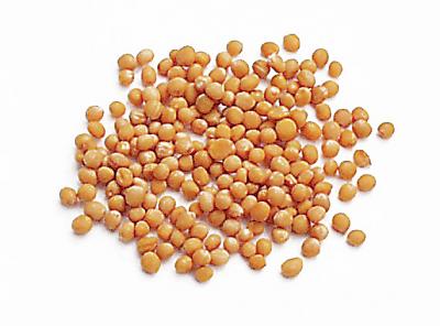 Yellow Mustard Seed