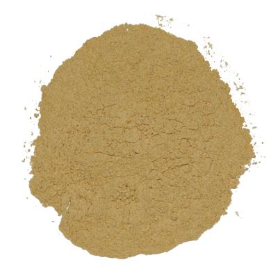 Roasted Garlic Powder