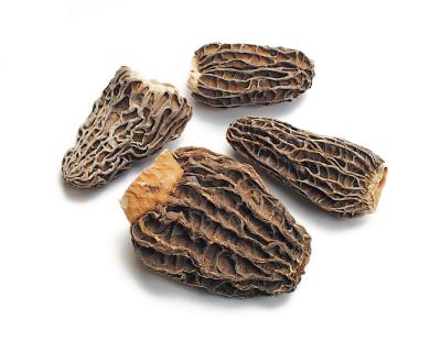Morel Mushrooms