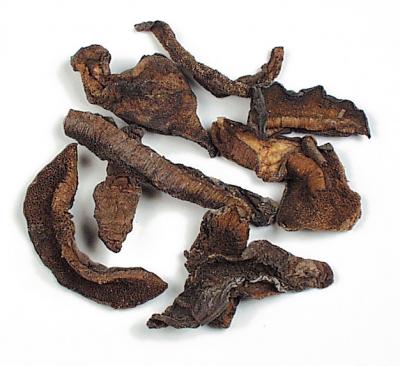 Boletes European Style Mushrooms