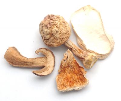 Steak Blend Mushrooms