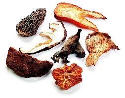 European Blend Mushrooms, Chanterelle, Porcini, Lobster, Black Trumpet, Sliced Shiitake, Morel, Boletes