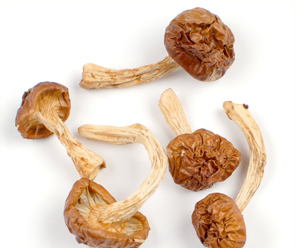 Nameko Mushrooms