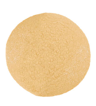 Champignon Powder Extract