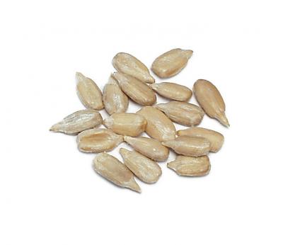 unshelled sunflower seeds unshelled sunflower seeds