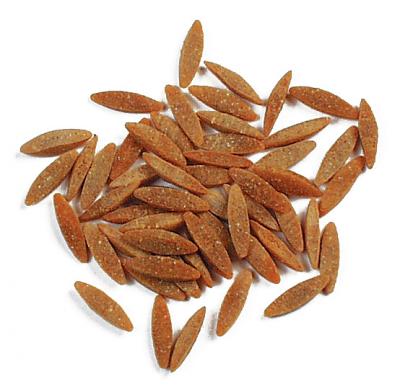 Chile Orzo