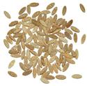 Toasted Orzo