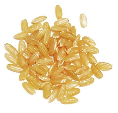 Brown Basmati Rice