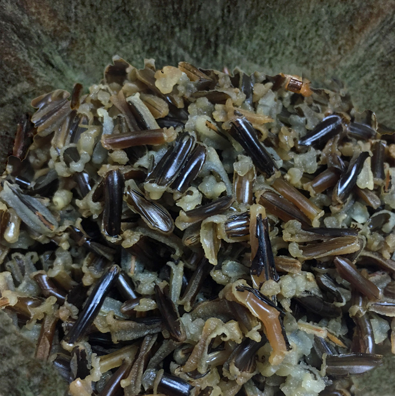 Premium Dry Roasted Wild Rice