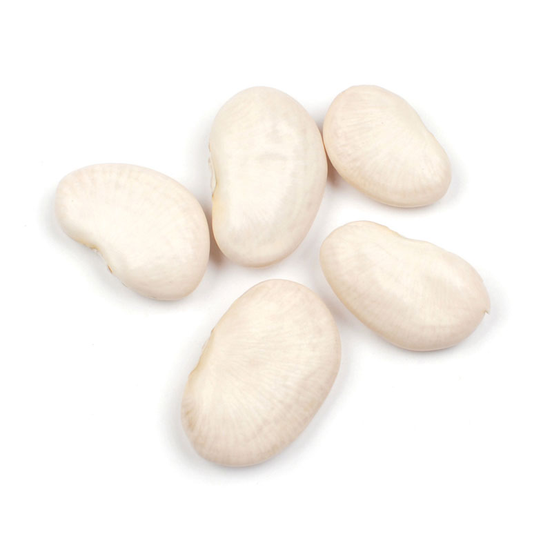 Giant Peruvian Lima Beans