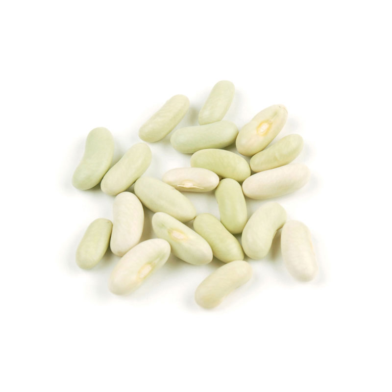 Flageolet Beans