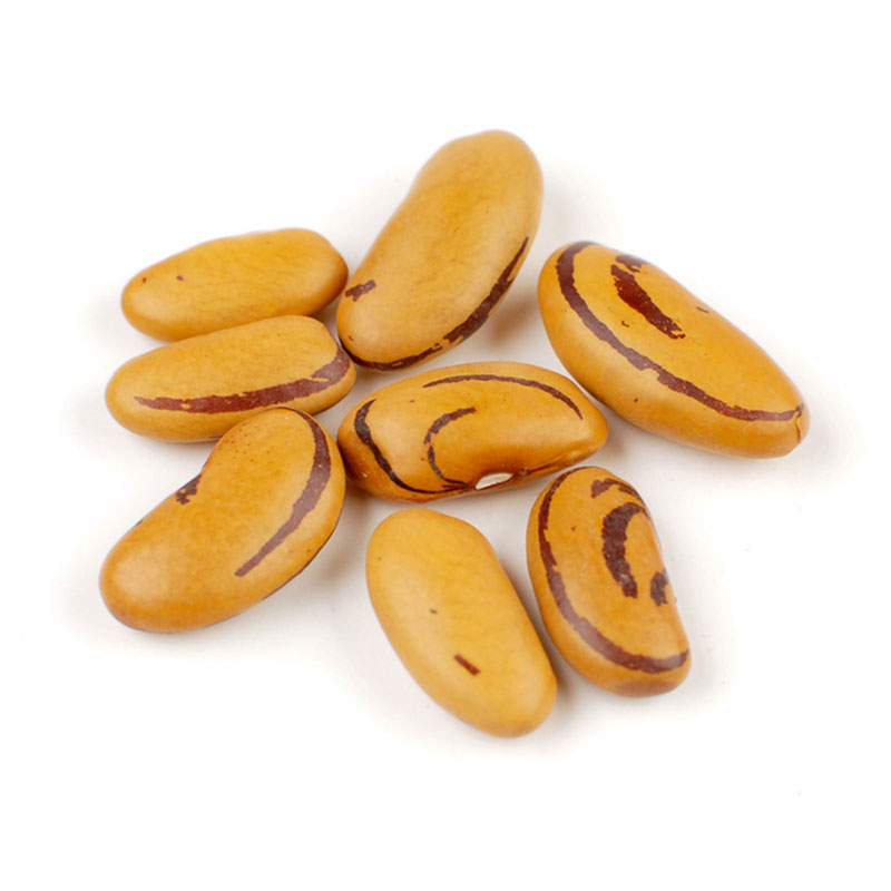 Tiger Eye Beans perfect for soups and chili!