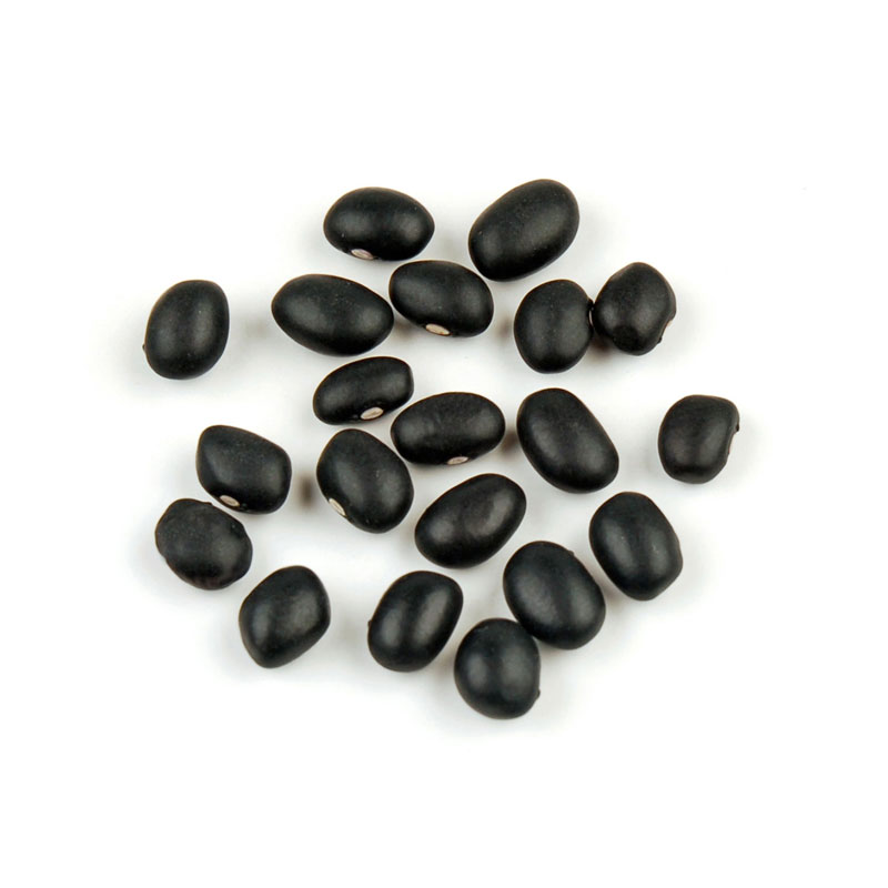 Black Turtle Beans