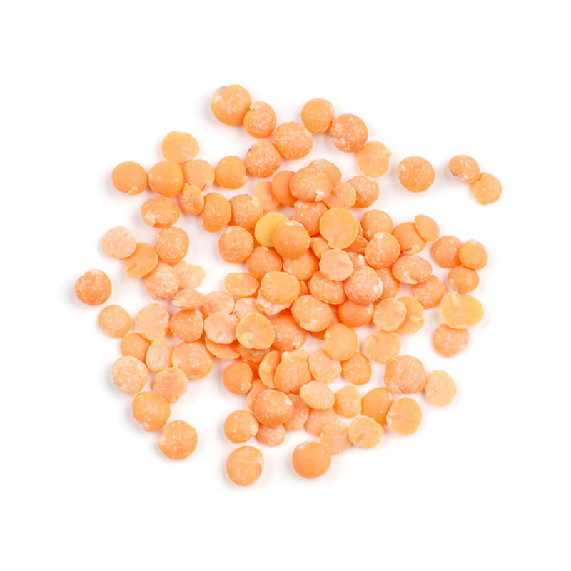 Petite Crimson Lentils