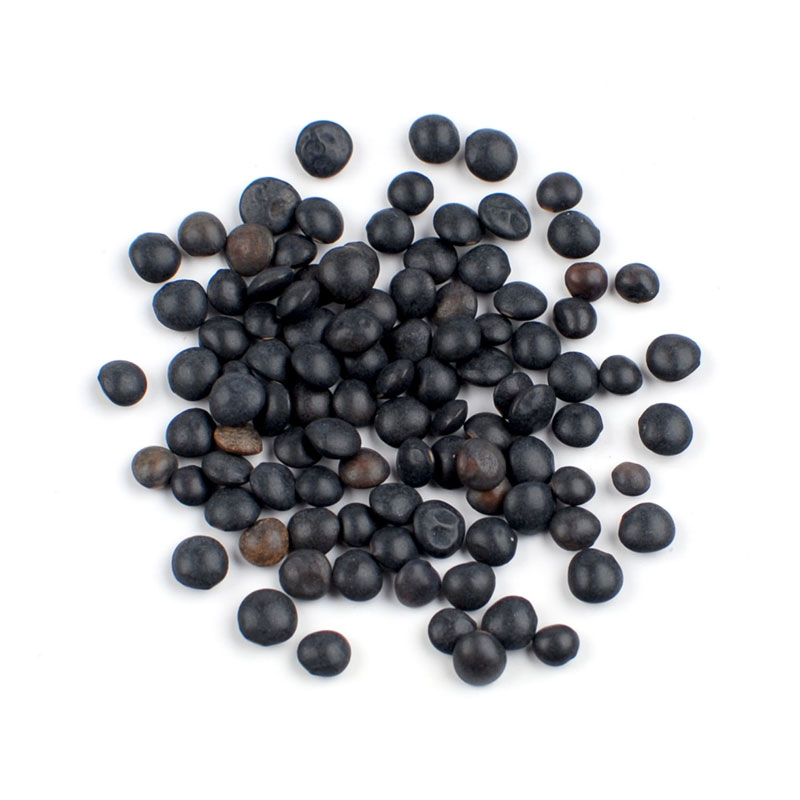 Petite Black Lentils