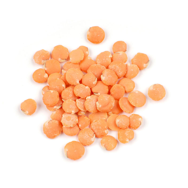 Red Chief Lentils