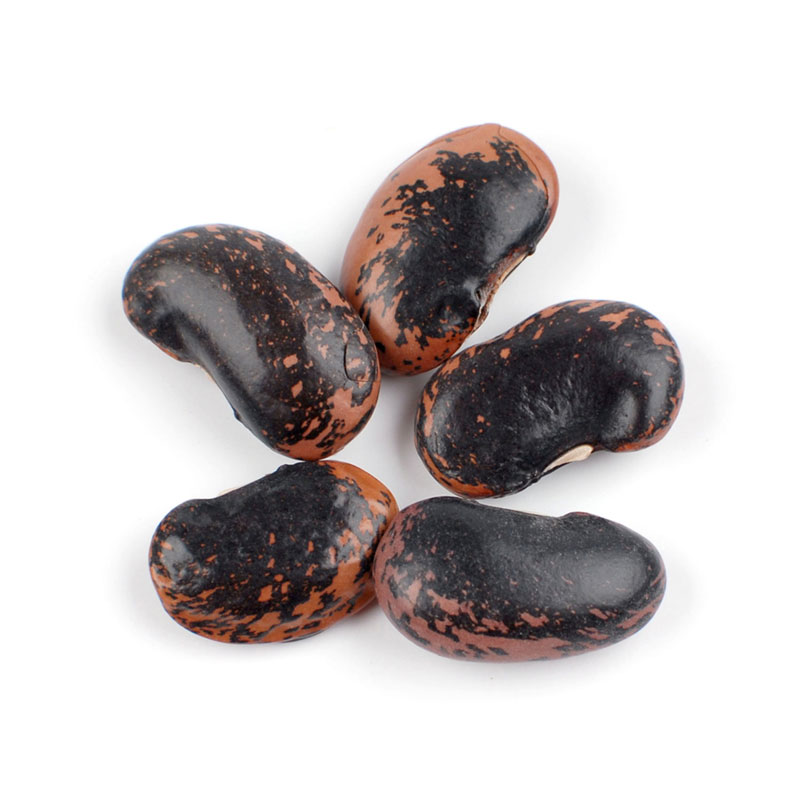 Scarlet Runner Beans