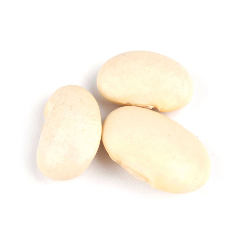 Corona Runner Sweet White Beans