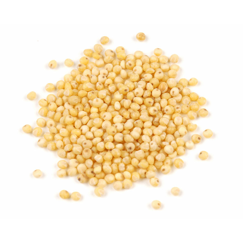 Millet Seed