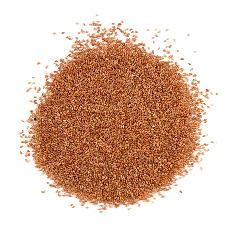 Brown Teff