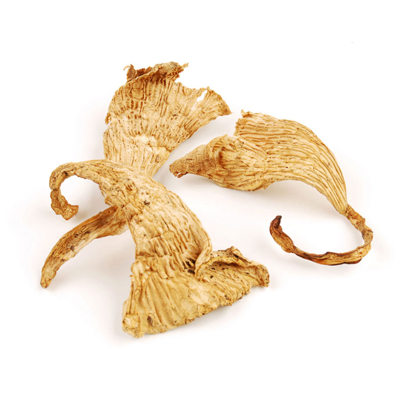Chantrelle Mushrooms gluten free kosher