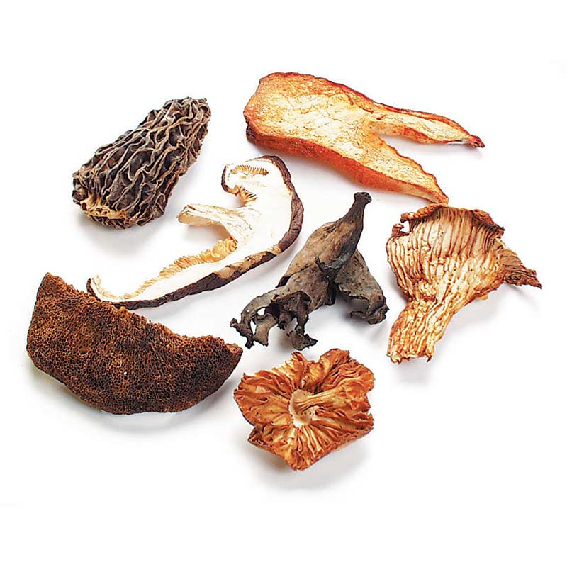 European Blend Mushrooms, Chanterelle, Porcini, Lobster, Black Trumpet, Sliced Shiitake, Morel, Boletes