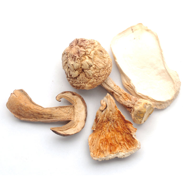 Steak Blend Mushrooms