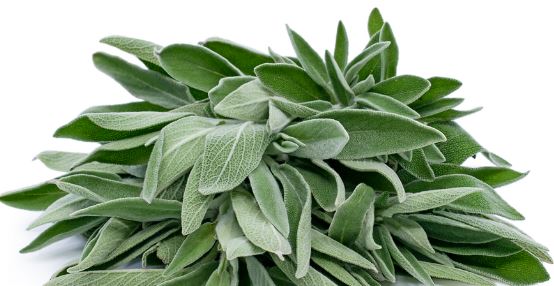 Westwood Sage Seasoning
